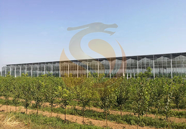 河北省清涼鎮古早清涼現代農業(yè)觀(guān)光旅游項目-智能溫室 河北省清涼鎮古早清涼現代農業(yè)觀(guān)光旅游項目-智能溫室